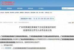 黄埔最新爆料,揭秘神秘项目，行业变革即将到来